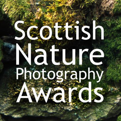2016 Runner-up - Favourite Scottish Nature Photography Book - "Otters in Shetland"